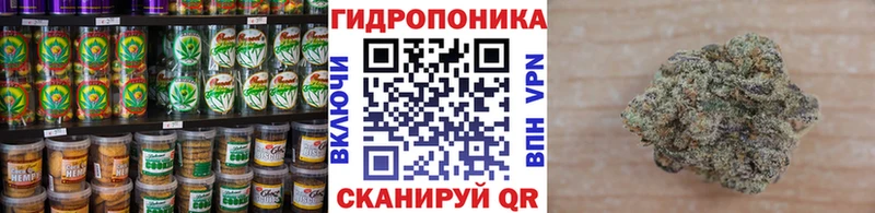 купить цена Олонец Canna-Cookies конопля