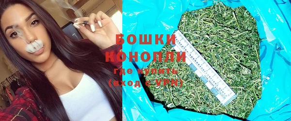 прущие крисы Болотное